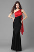 Charming Bicolor Spandex One Shoulder Evening Dress
